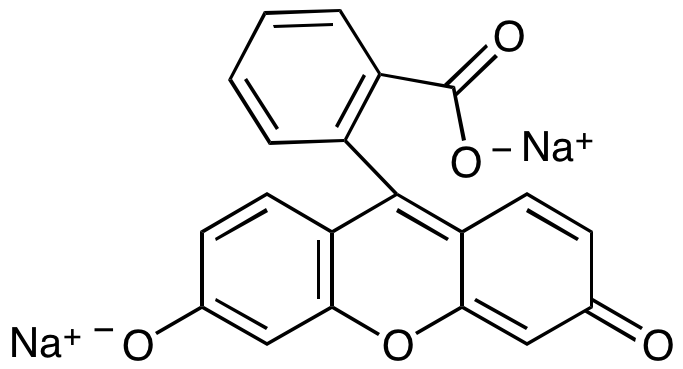 Fluorescein,